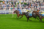080925-Race 4-Zain Blue-7629