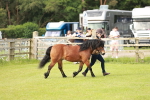 SBM_00522