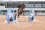 BPP_4635