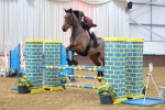 SBM_008343