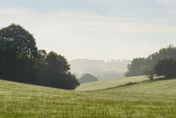 Farringdon view - South Downs