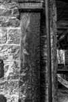 Ivy Bank 11