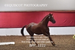 BPP_1222