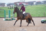 Cls 15 A&B Brit Nov & 90 Open portfolio