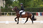 Unaffiliated Dressage portfolio