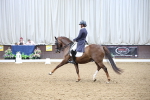 SBM_004864