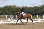 SBM_001584