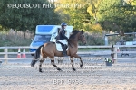 BPP_9798