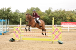 SBM_023015