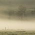 Early morning mist, Kaukapakapa