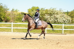 SBM_000732