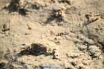 251004A-163616-02132