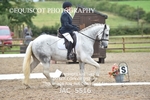 NOVICE 4 portfolio