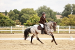 SBM_002744