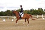 SBM_006291