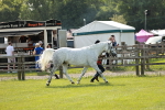SBM_01653