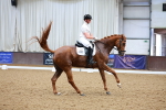 Class 11-12 - FEI PSG-FEI INT I portfolio