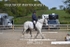 BPP_5523