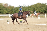 SBM_010216