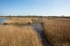 20110409-IMG_1510