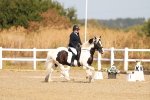 SBM_016746
