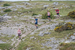 Hutton Roof-239
