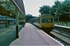 30th July 1984
