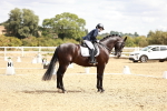 SBM_009487