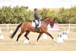 SBM_009558