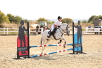 SBM_000680