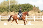 SBM_009353