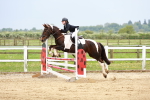 SBM_009553