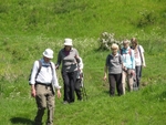 008 Approaching Bishop Wilton