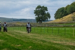DSCF1537