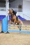 SBM_000508