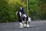 WJ5_8662