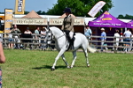 SBM_17470