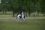 NGP_6843