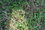 SBM_03402