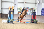 SBM_009976