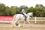 SBM_006549