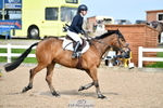 Cls 25 British Novice and 90cm Open portfolio