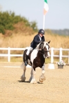 SBM_016786