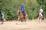 WJ6_7699
