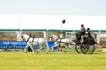 SBM_02815