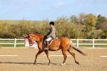 SBM_000424