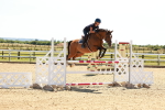 SBM_006960