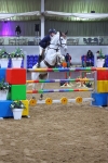 Class 12 - National 1.30m/1.40m Open Handicap portfolio