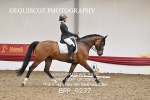 BPP_9277