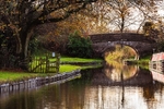 Bridge 25 (Whiteley Green), Macclesfield Canal (5)